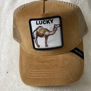 Sahara Las Vegas baseball hat, brand new.